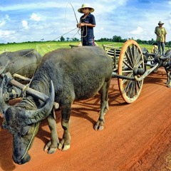 Khmer Commentary Steung Songkae  Vol. 08