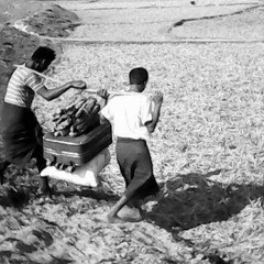 An interview with a witness from Gudusara to the violence that took place in Duchiradan village