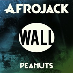 Afrojack - Peanuts (Shermanology Vocal Edit)