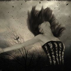 Reminiscence