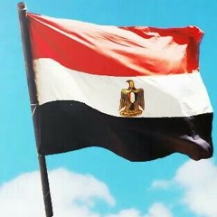 مصر جميلة 25 يناير 2014