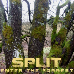 Enter the Forrest - Split [clip]