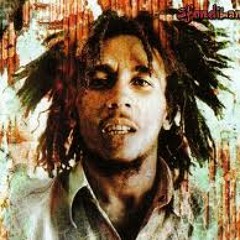 Bob Marley - Stir It Up - Free d/l (J - Rokk's Glitch Dub Remix)