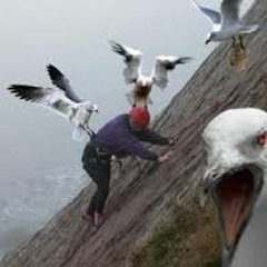 BirdyWakWak & Ken Young - Bird Attack