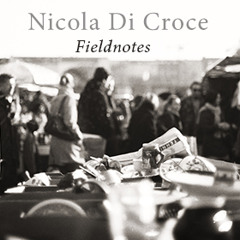 'Fieldnotes' preview mix whole album - by Walkingsoundtracks -