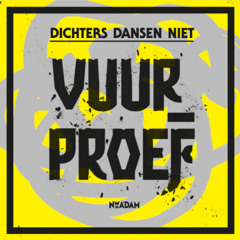 Dichters Dansen Niet -Vuurproef een kort Vuurproefje.