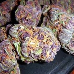 We made it freestyle-Ceno,Reggierej, Scooter