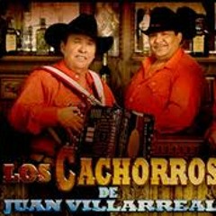 El Cantante ~ Los Cachorros De Juan Villarreal