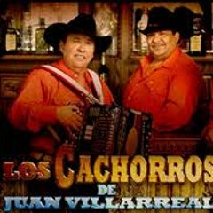 El Rayo De Sinaloa ~ Los Cachorros De Juan Villarreal