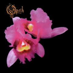 Opeth The Twilight Is My Robe Solo Cover