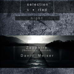 Art Style: Techno | Selection Sorted Night : Zapphire // David Meiser