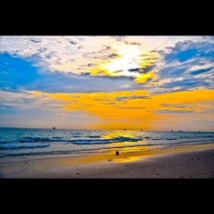 N.Tatham - Another Day In Paradise (Phil Collins Cover) (Felix Jaehn & Alex Schulz Bootleg)