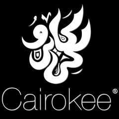 فرقة كايروكي, ساكتين ساكتين , Cairokee, Sakteen Sakteen