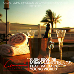 Mimosa Mornings Ft. Paebak + Young World
