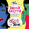 David Guetta feat Skylar Grey - Shot me Down (Bang Bang)