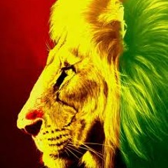Rebelites - Mighty Lion ( Studio Live )