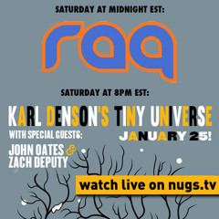 RAQ - Cheap Sunglasses (1/24/14 Brooklyn Bowl)