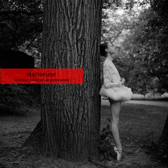 Heritage V - Danseuse (with Pyrococcus)