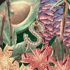 Sza x Terror Dome