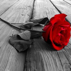 Tomorrow I'll Love You More ft. Keryn Walters (Original)