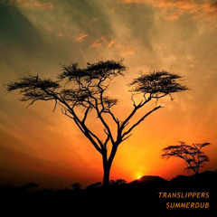 Translippers - Summerdub (feat. Shama)