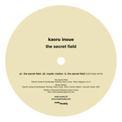KAORU INOUE - Secret Field (Todd Terje remix)