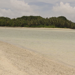 finyaliut