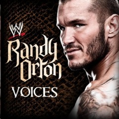 Randy Ortan Voices