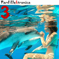 Whale Safari Part 2