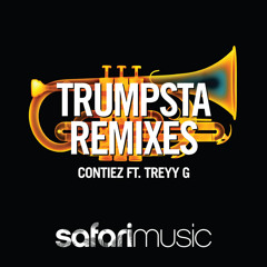 Trumpsta (Treyy G & Mixinit Remix) *FREE DL*