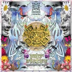 Psilocybe Project Vs. D_Maniac - It Will Not Stop