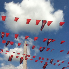 Three Coloured National Flag, Flutter High! 휘날려라 공화국기 우리 심색기