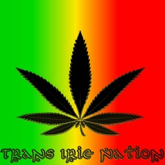 (Place Of Bass) Trans Irie Nation Dj Mix