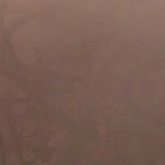 Ashes Like Drifting Snow