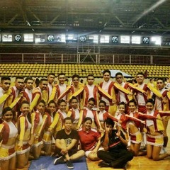 Jesmos2013 Cheermix AIMS CDC