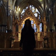 In the room where You Sleep(Dead man's bones cover)