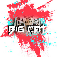 Paul Popien - Big Cat  [ORIGINAL MIX]