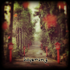 Hovering (acoustic)
