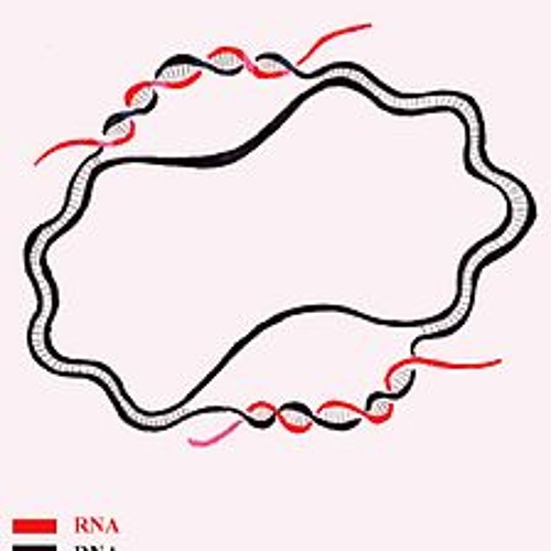 Loop Studies (119 Gallery, 2014-01-25)