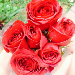 Candace Meyer - Caught In The Distance (DEMO)