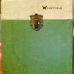 iCover Shake Some Action - FLAMIN' GROOVIES