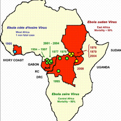 SSC144 EbonyEbola