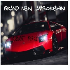 Bionic Bayse -Brand New Lamborghini