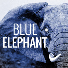 Blue Elephant