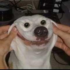 Rich Homie Quan - Some Type Of Way (Carnage festival bootleg)