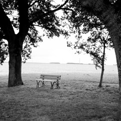 A Merry Prankster & Christian Boyer - Still 2