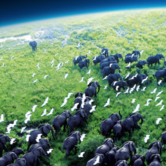 The Little Blue Planet [Bleeding Fingers Contest]