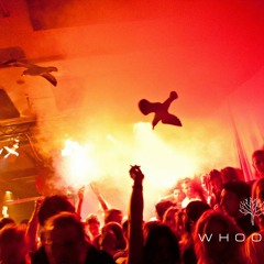 Flowers Greenfield - February podcast 2014