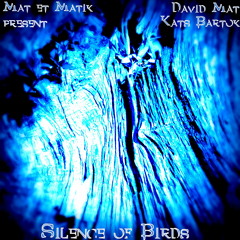 David Mat feat Kats Bartok " Silence of birds"