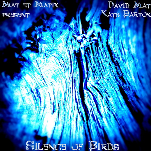 David Mat feat Kats Bartok " Silence of birds"